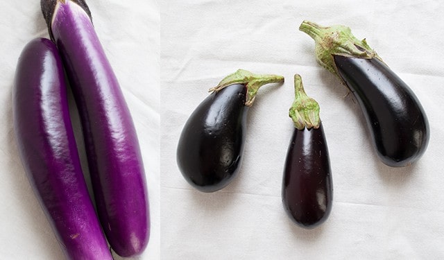 Eggplant Varieties from small-eats.com