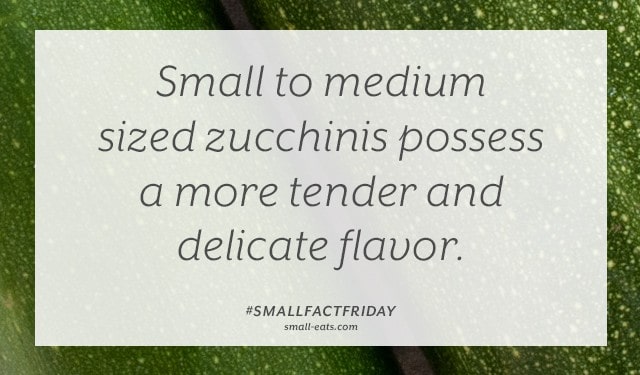 Small Fact Friday: Zucchini Flavor from small-eats.com