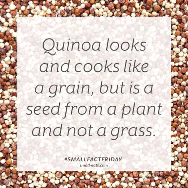 Small Fact Friday: Quinoa from small-eats.com