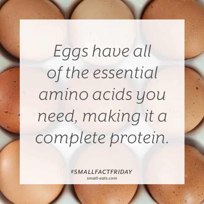 Small Fact Friday: Eggs and Protein