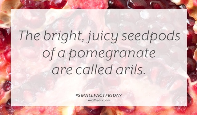 Small Fact Friday: Pomegranates from small-eats.com