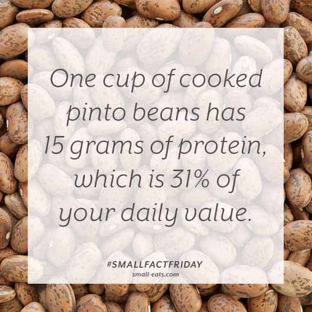 Small Fact Friday: Pinto Beans and Protein from small-eats.com
