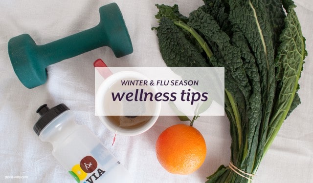 Winter and Flu Season Wellness Tips from small-eats.com