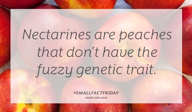 Small Fact Friday: Nectarines and Peaches from small-eats.com