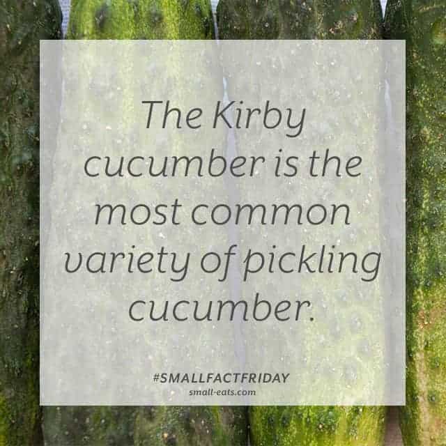 Small Fact Friday: Pickling Cucumbers from small-eats.com