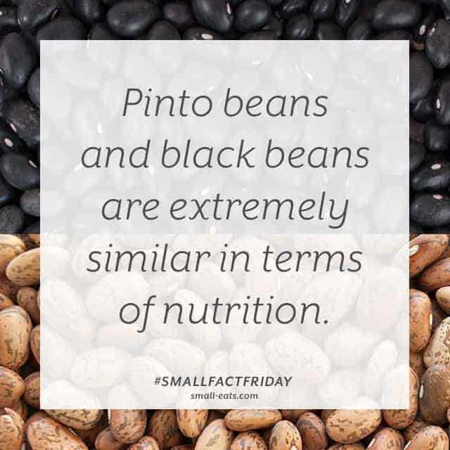 Small Fact Friday: Pinto Beans vs Black Beans from small-eats.com