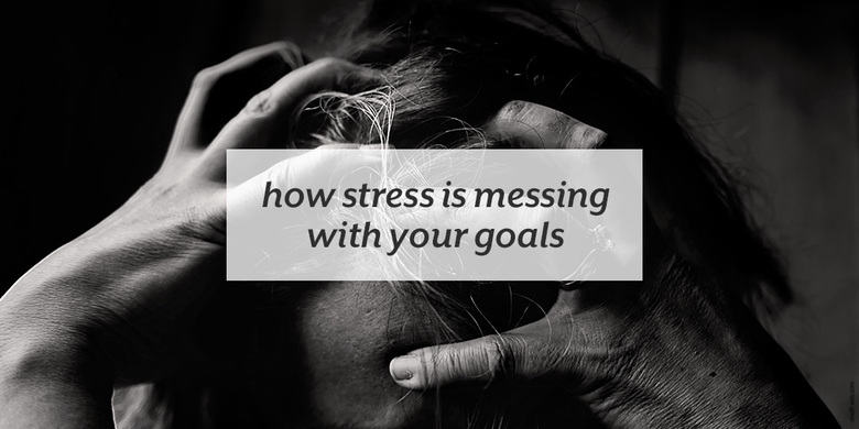 Food and fitness aren’t the only factors in reaching your health goals. | How Stress is Messing with your Goals from small-eats.com