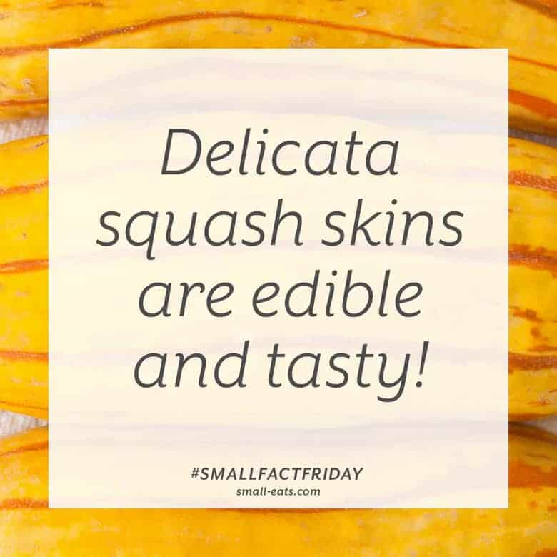 Delicata squash skins are edible and tasty. #smallfactfriday