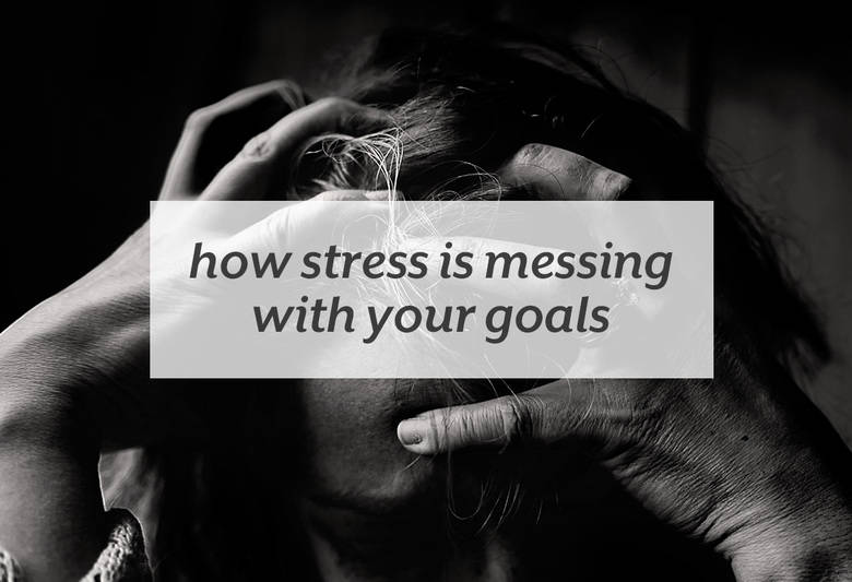 Food and fitness aren’t the only factors in reaching your health goals. | How Stress is Messing with your Goals from small-eats.com