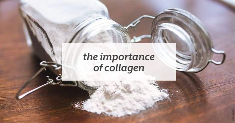 Why supplementing with collagen is important for your health. | The Importance of Collagen from small-eats.com