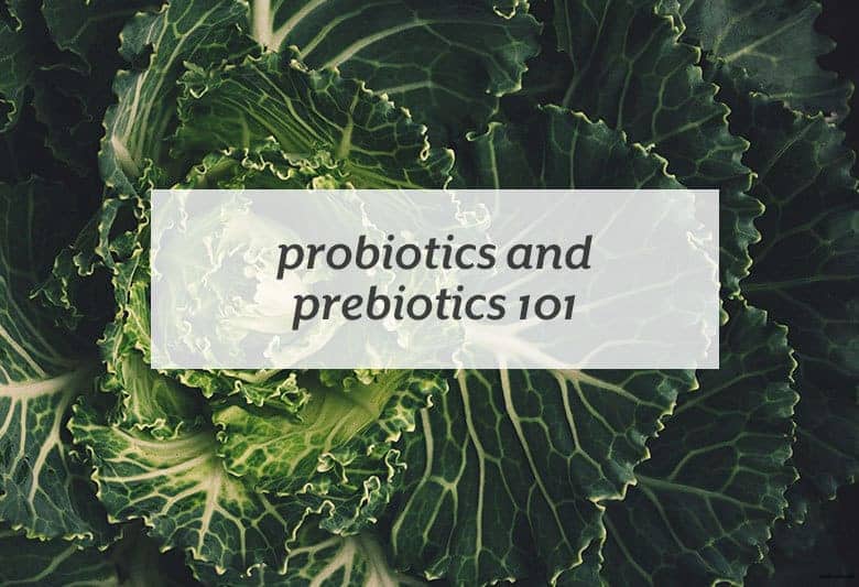 What probiotics and prebiotics are and why they’re beneficial to our health. | Probiotics and Prebiotics 101 from small-eats.com