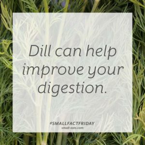 Dill can help improve your digestion. #smallfactfriday