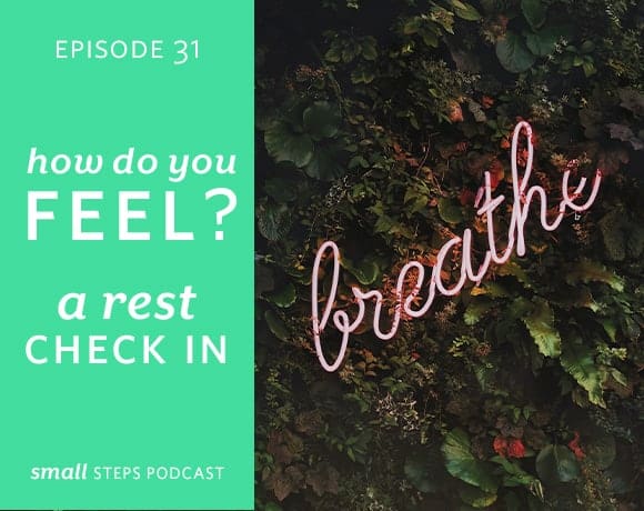 Small Steps Podcast #31: How Do You Feel? A Rest Check In from small-eats.com