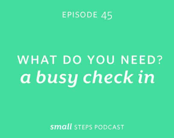 Small Steps Podcast #45: What Do You Need? A Busy Check In from small-eats.com